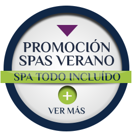 hotel ixtapan